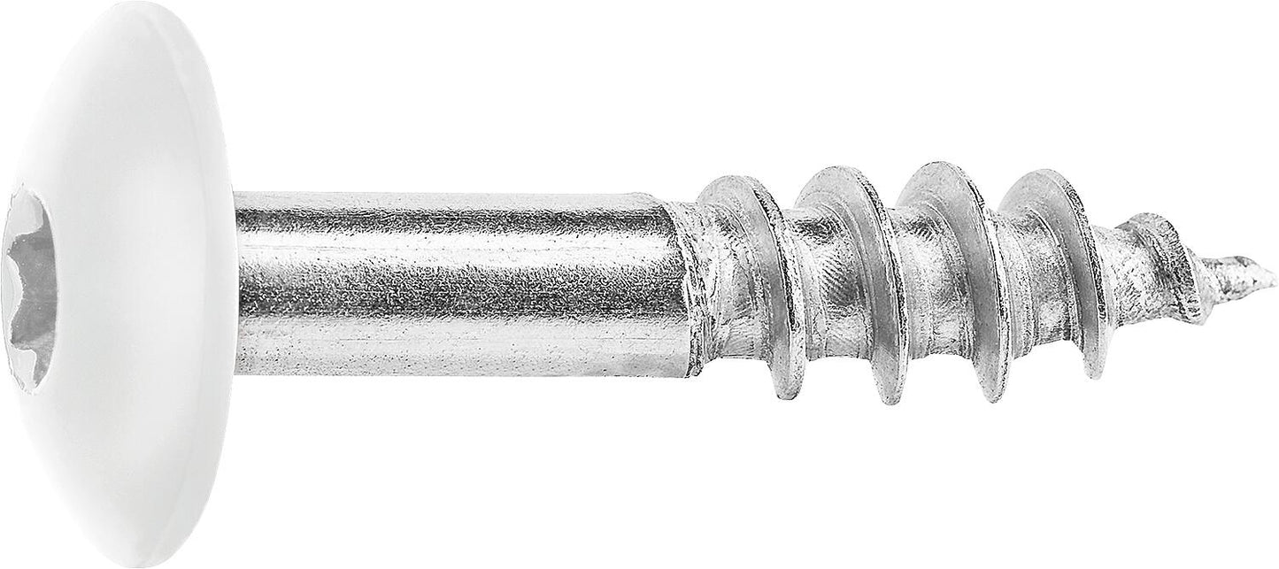 Fassadenschrauben für HPL-Platten A4