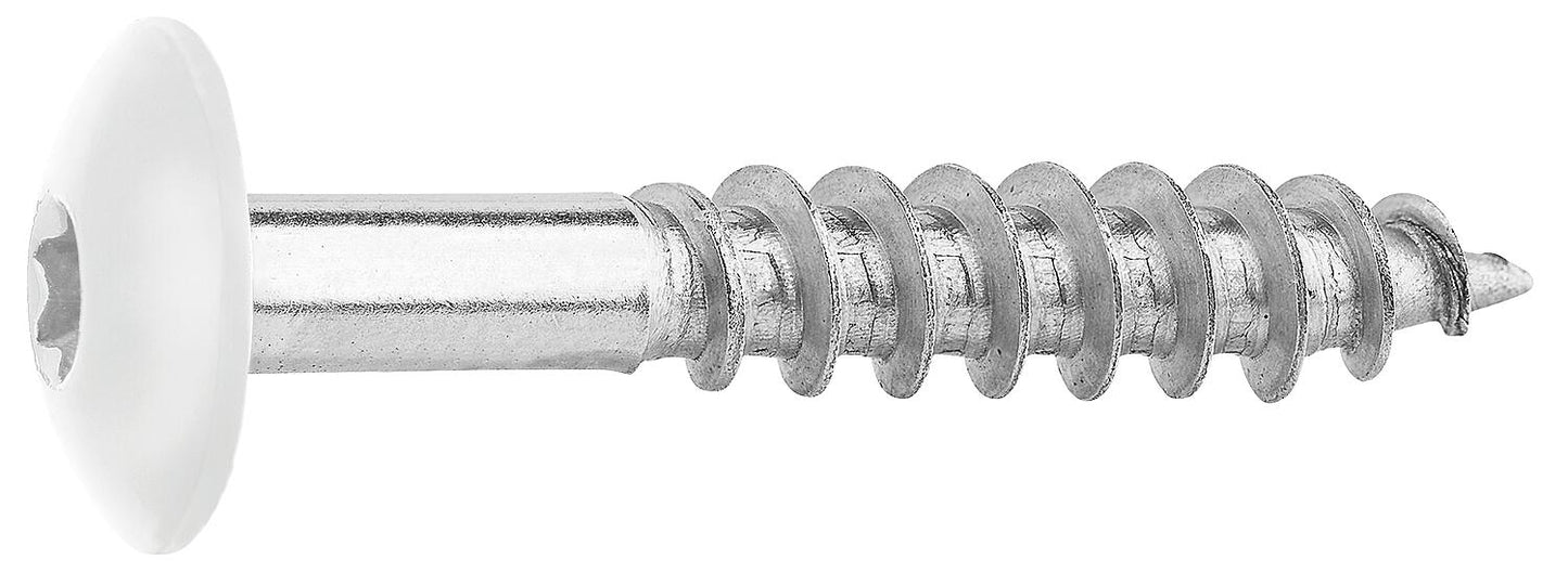 Fassadenschrauben für HPL-Platten A4