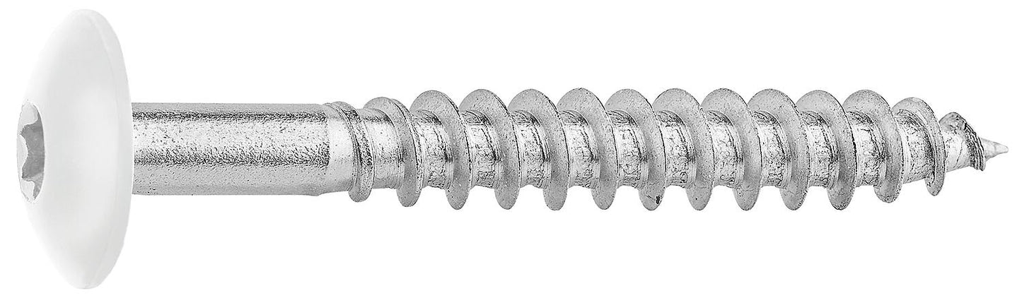 Fassadenschrauben für HPL-Platten A4