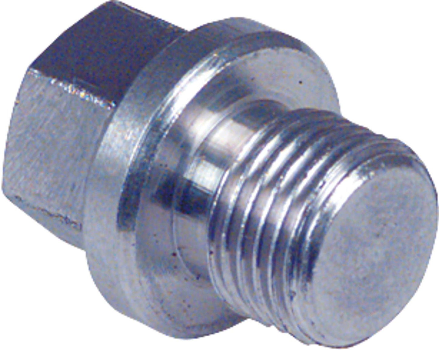 Sealing screw V4A, 2" EG 500 AG